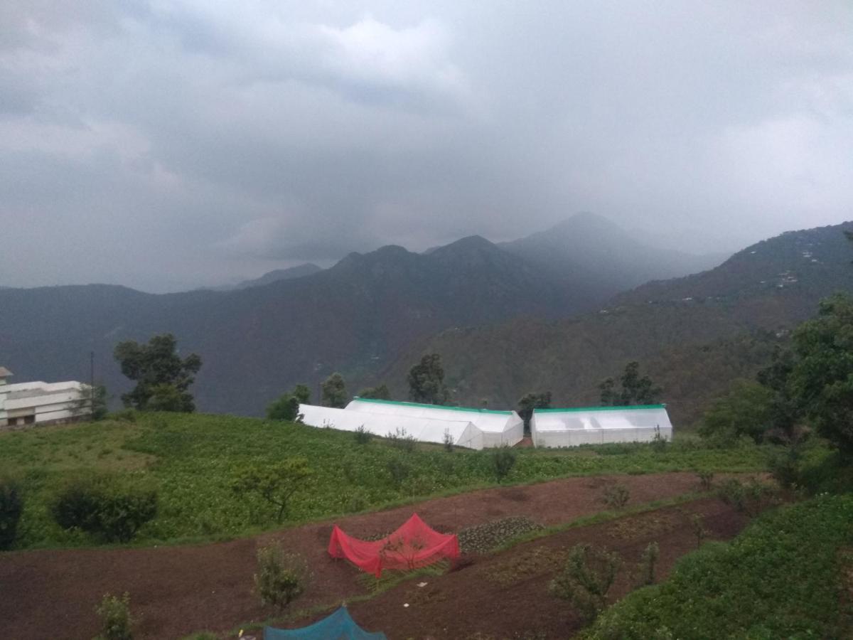 Green View Resort New Tehri Eksteriør billede