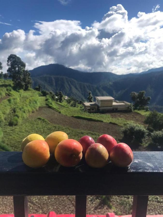 Green View Resort New Tehri Eksteriør billede
